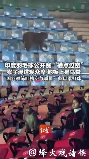 世界羽联回应印度公开赛猴子入场、落鸟粪等问题